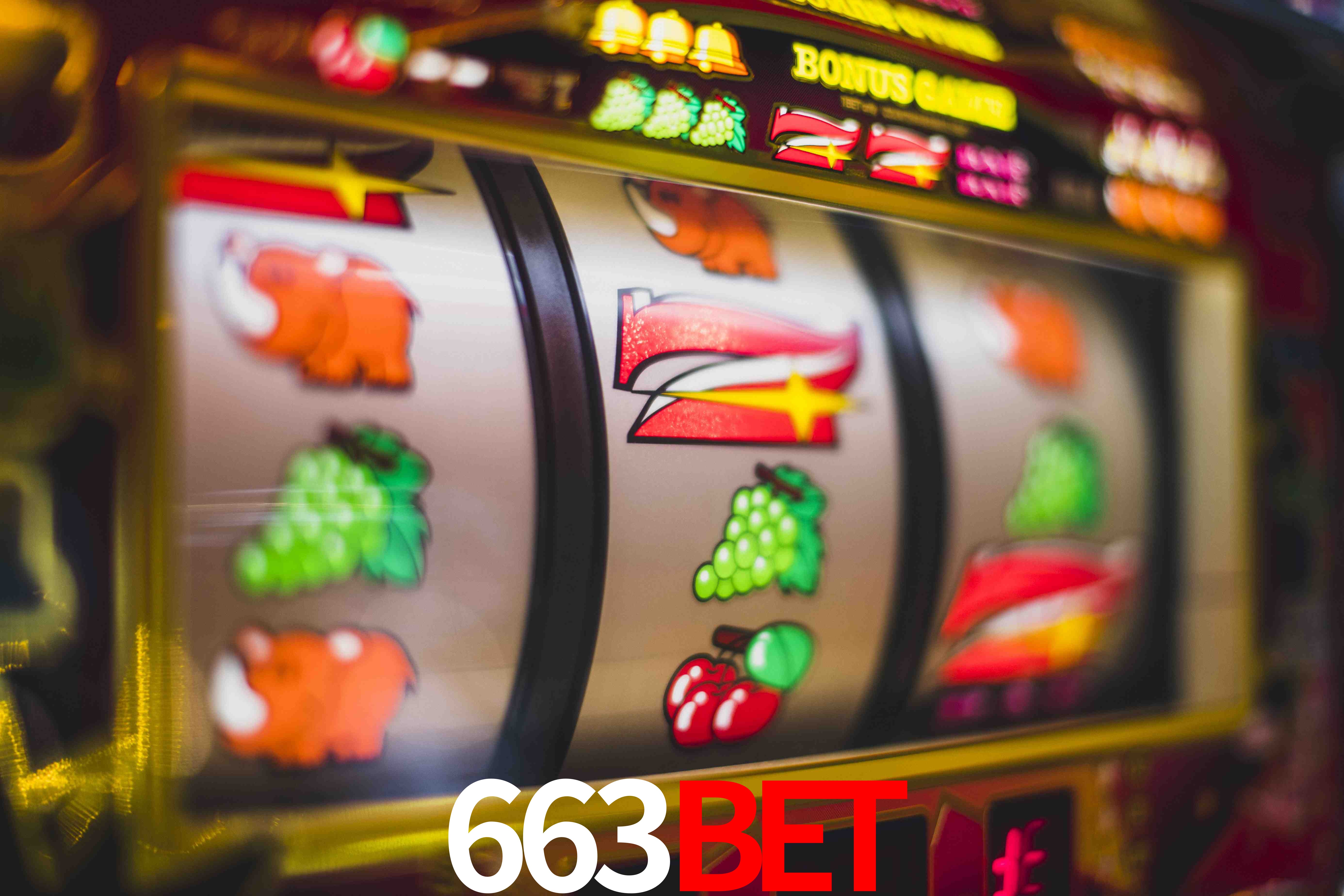 Sports Statistics 663bet
